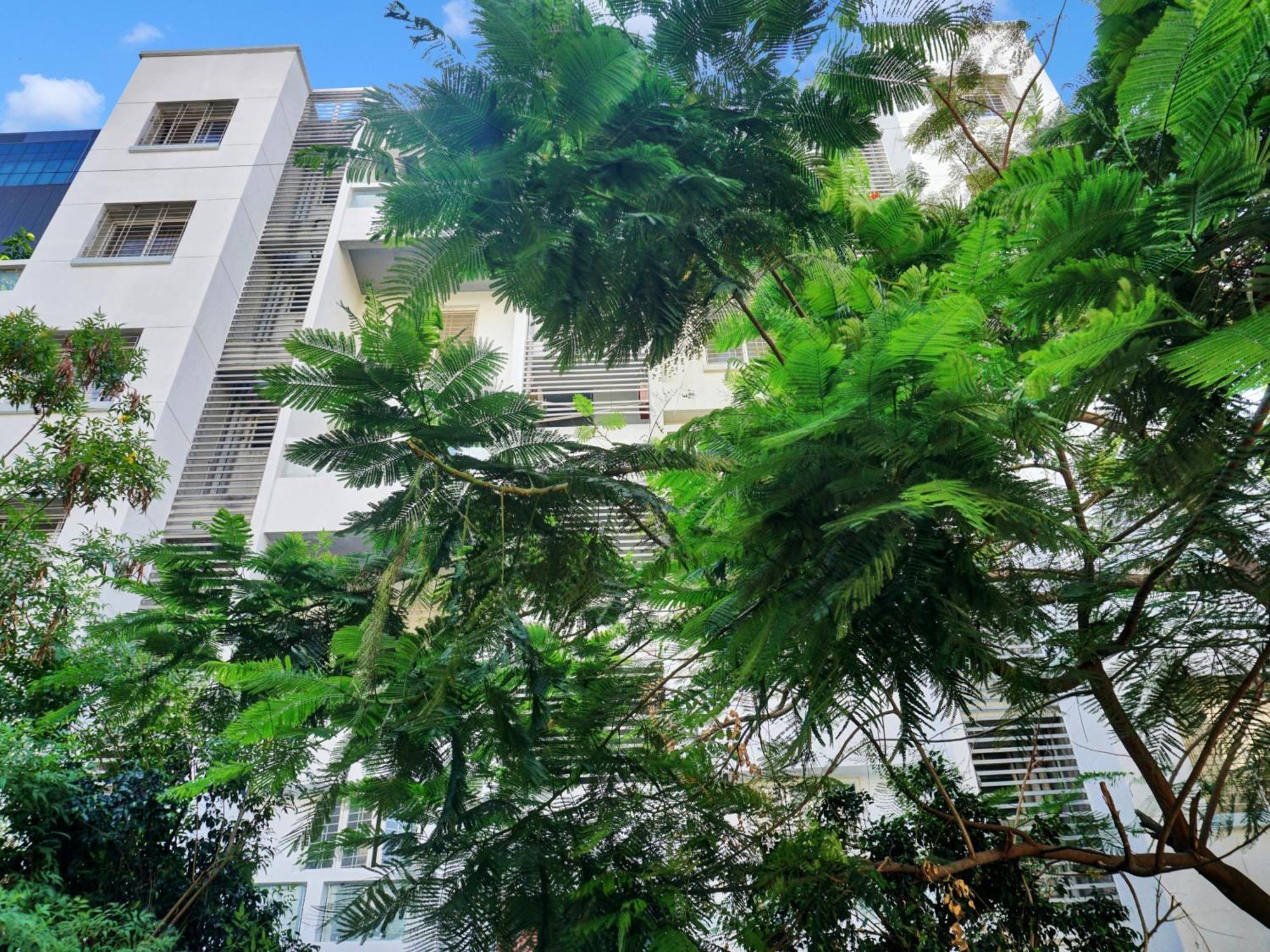 Collection O Balewadi Formerly Woods Regency